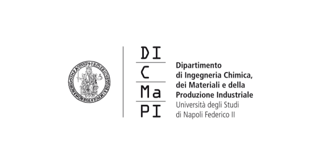 DICMaPI — University of Naples Federico II